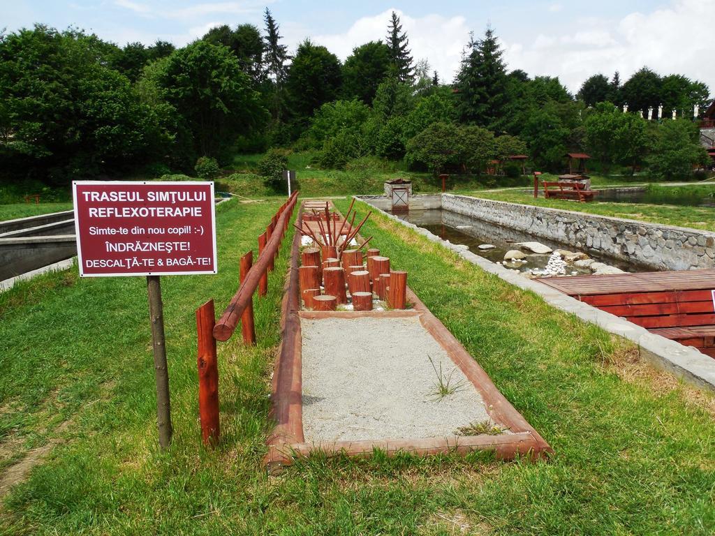 Complex Pastravaria Albota Arpaşu de Sus Zewnętrze zdjęcie