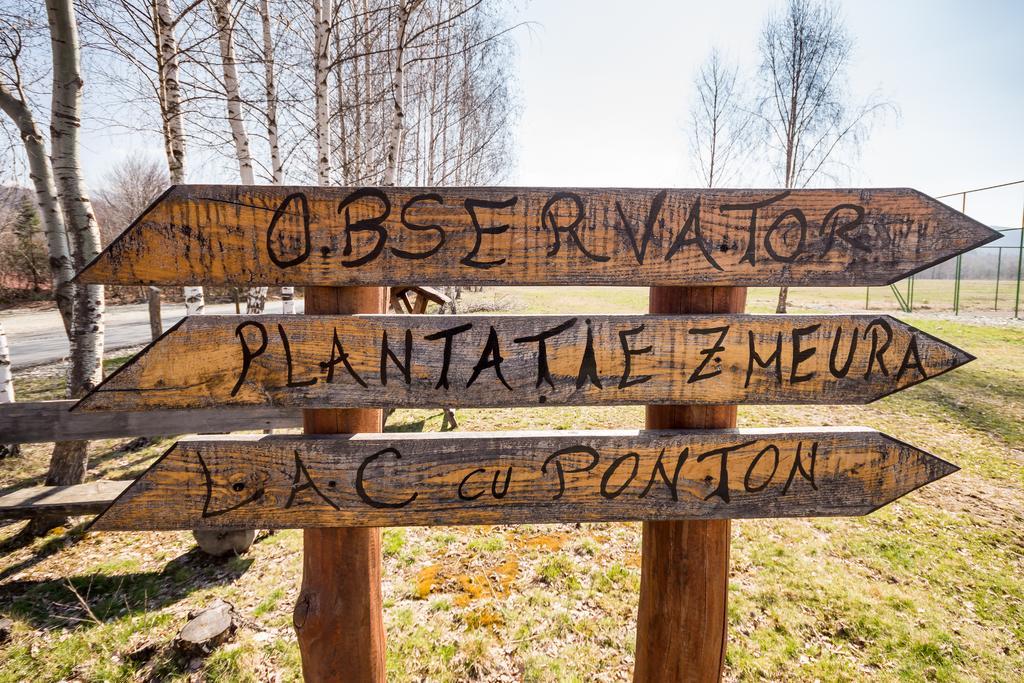 Complex Pastravaria Albota Arpaşu de Sus Zewnętrze zdjęcie