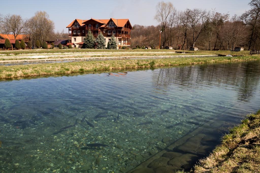 Complex Pastravaria Albota Arpaşu de Sus Zewnętrze zdjęcie